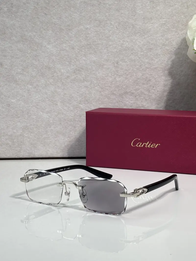 CARTIER CT0622S rimless designer sunglasses colorway 01, catalogue view 1